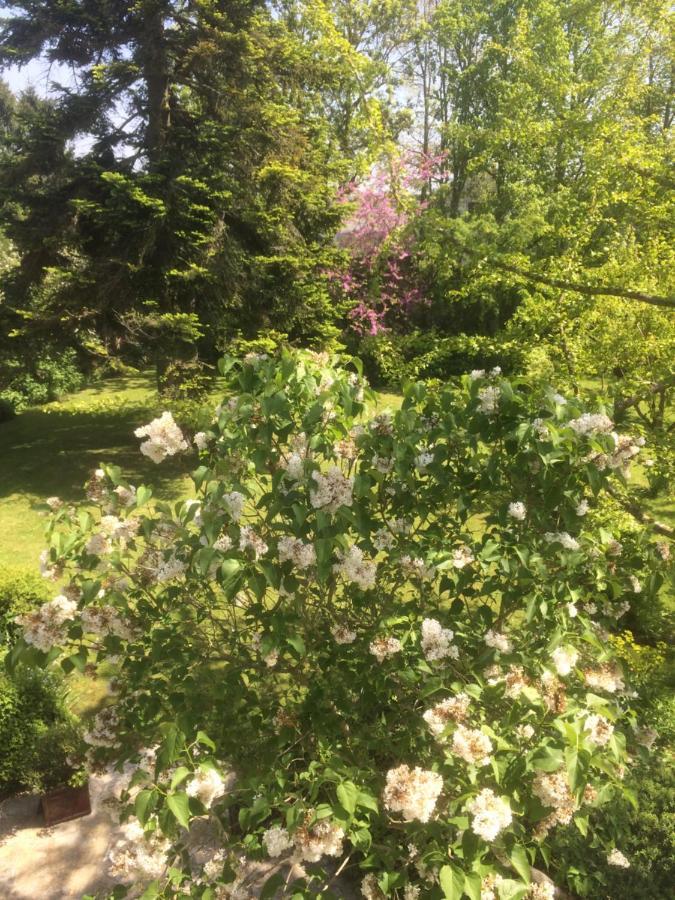 Bed and Breakfast De Ma Fenetre Saint-Martin-des-Entrees Екстер'єр фото